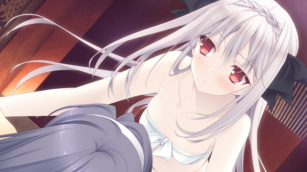 【PC】【Navel】月に寄りそう乙女の作法 / 近月少女的礼仪-光辉ACG